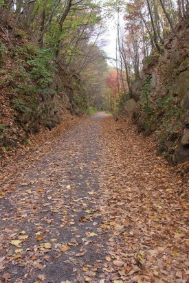 John_B_Bartram_Section_of_SRT_medium