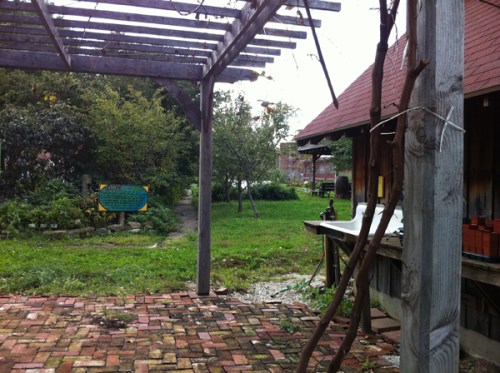 University City High School Urban Garden