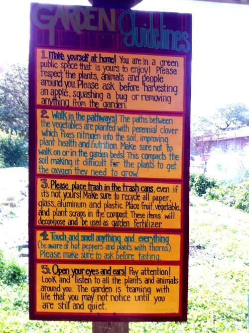 University City High School Urban Garden