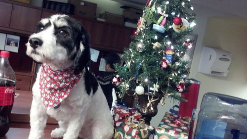 2012-12-20_13-56-06_981