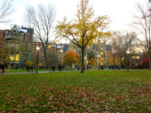 Photo credit: Katbert