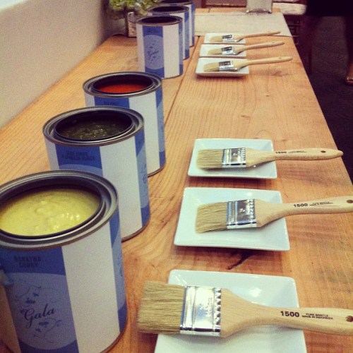 salsapaintby_pennalumni