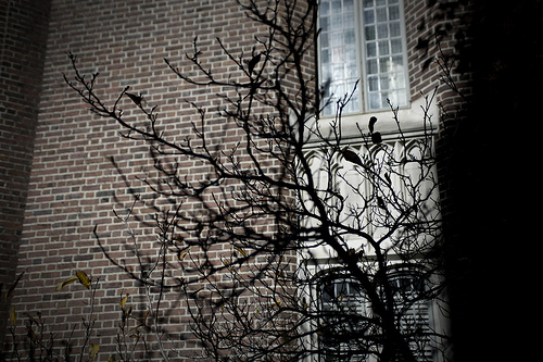 2012 Day in the Life of PennPhotograph by Steven Minicola