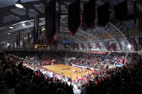 The Palestra