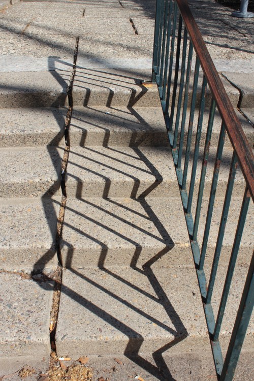 Behind Steinberg-Dietrich Hall.