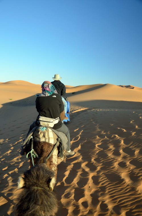 Penn alumni voyage across the desert on camels. Photo by Penn alumnus Murray Sherman, GR’69.