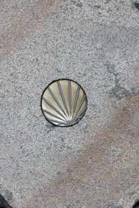 St. James’ shell imbedded in stone pavement.