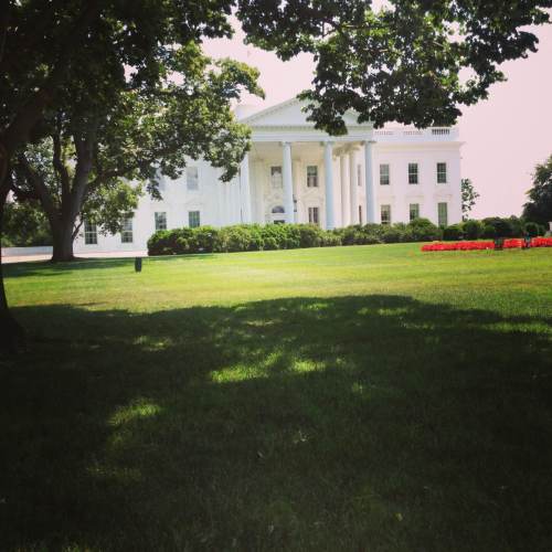 I was hoping Bo Obama might make an appearance. No luck yet, but I’ll keep you posted. 