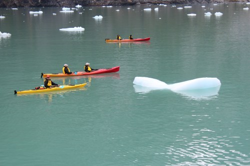 Kayaking tour in the bay.