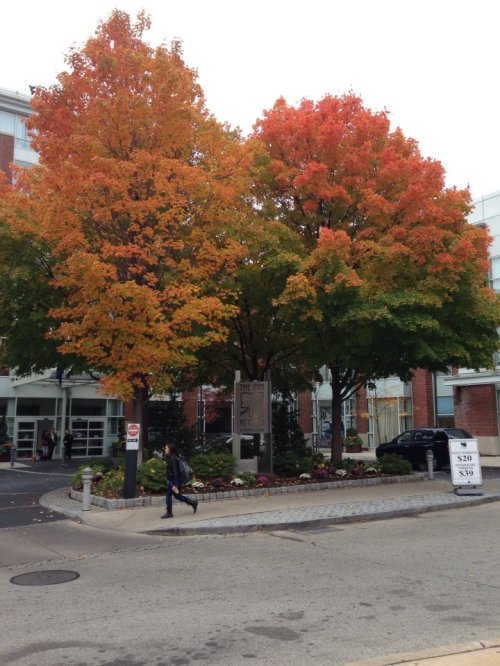 This is my view every morning on the way to work