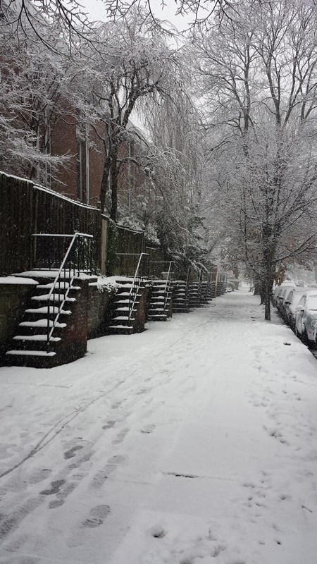 Snow on Spruce Street