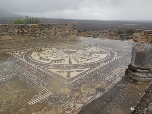 An example of the beautiful mosaics at Volubilis.