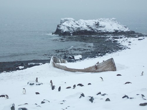 Somewhere on the Antarctic coast. Let’s hope at least we will get home safe, it looks like someone else did not …
