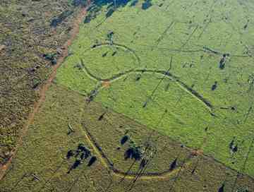 100104-amazon-lost-civilization-circles_big_thumb[3]