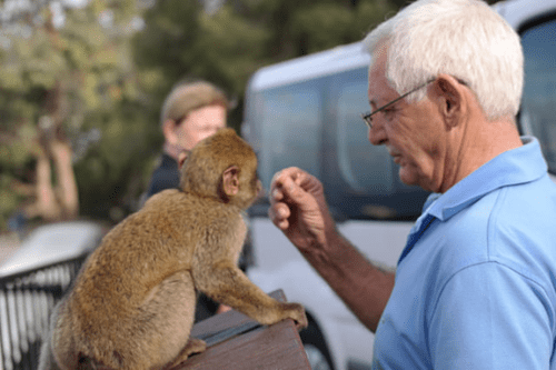 The monkeys of Gibralter are surprisingly fun to watch.