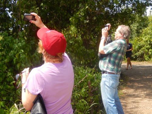 Judy ShekmaSteve Cantner