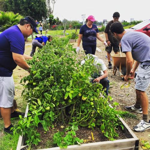 11751789_1633483116892413_3854693477526177960_n