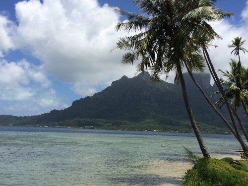 24457786284_466742ef86_k