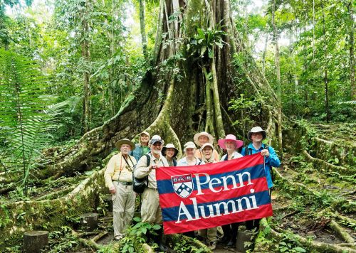 25466234892_bf71743f9b_b