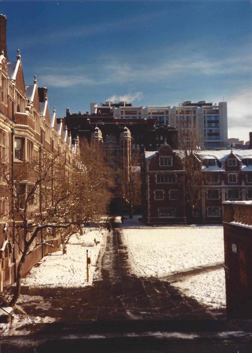 Lower Quad at the University of Pennsylvania in the snow, December, 1989