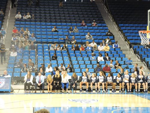Penn Women's Basketball bench during the game, photo credit Kiera Reilly, C'93