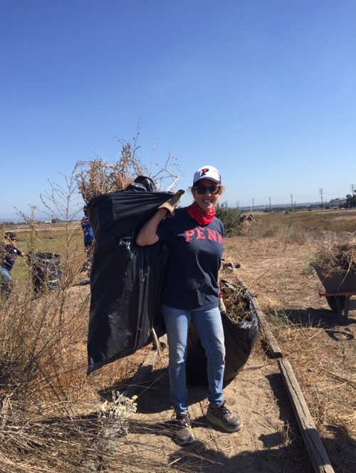 Jane Gutman, CW'73, helps to clear out invasive vegetation