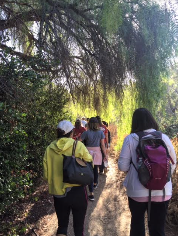 Penn Serves LA Tree People Los Angeles Penn Alumni volunteering