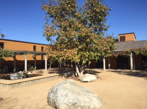 Courtyard at Audobon Center Los Angeles cleaned up by Penn Serves LA penn alumni volunteers