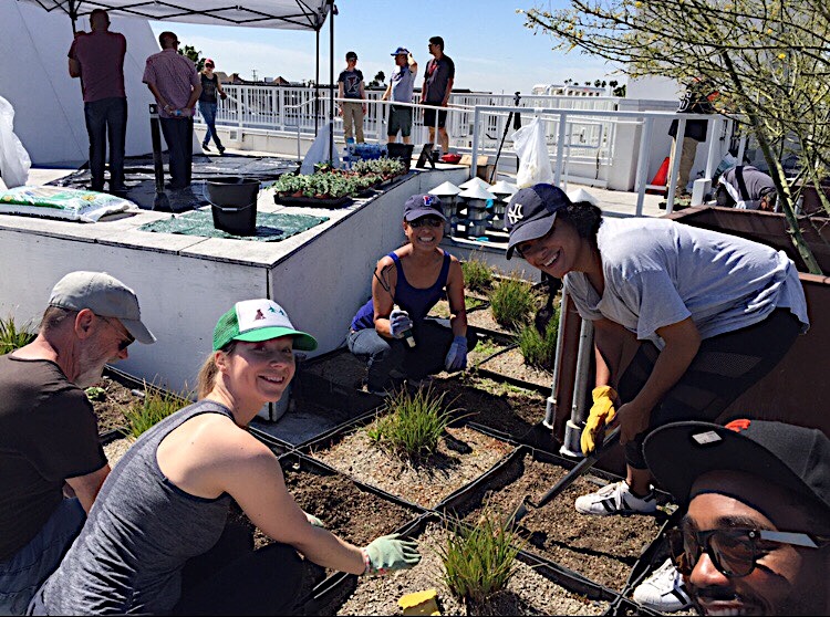 Penn Serves LA The Skid Row Housing Trust Los Angeles volunteering