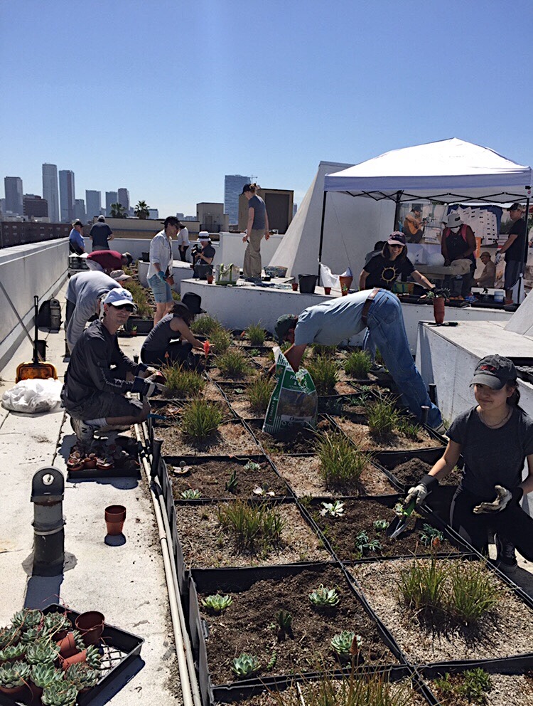 Penn Serves LA The Skid Row Housing Trust Los Angeles volunteering