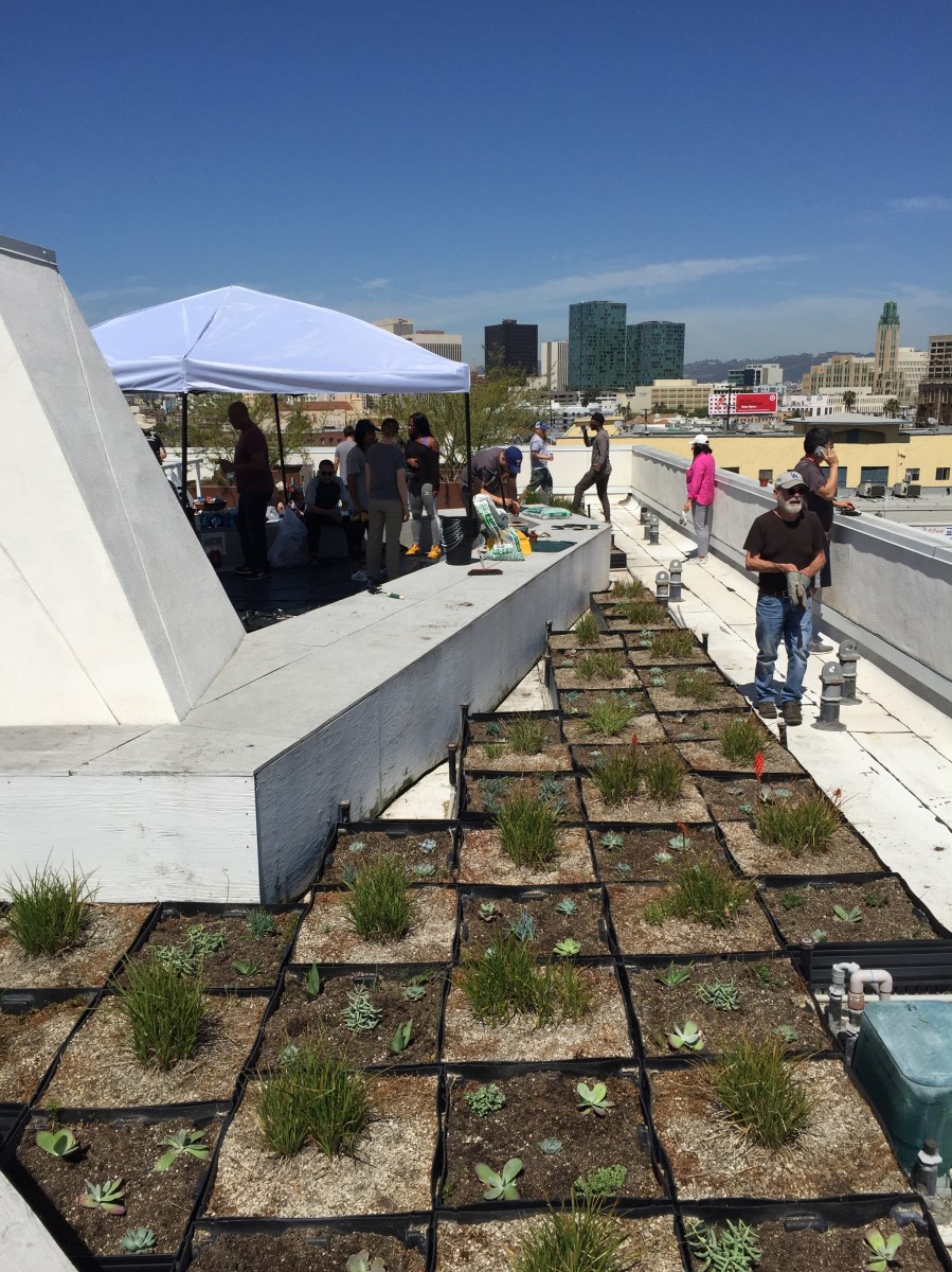 Penn Serves LA The Skid Row Housing Trust Los Angeles volunteering