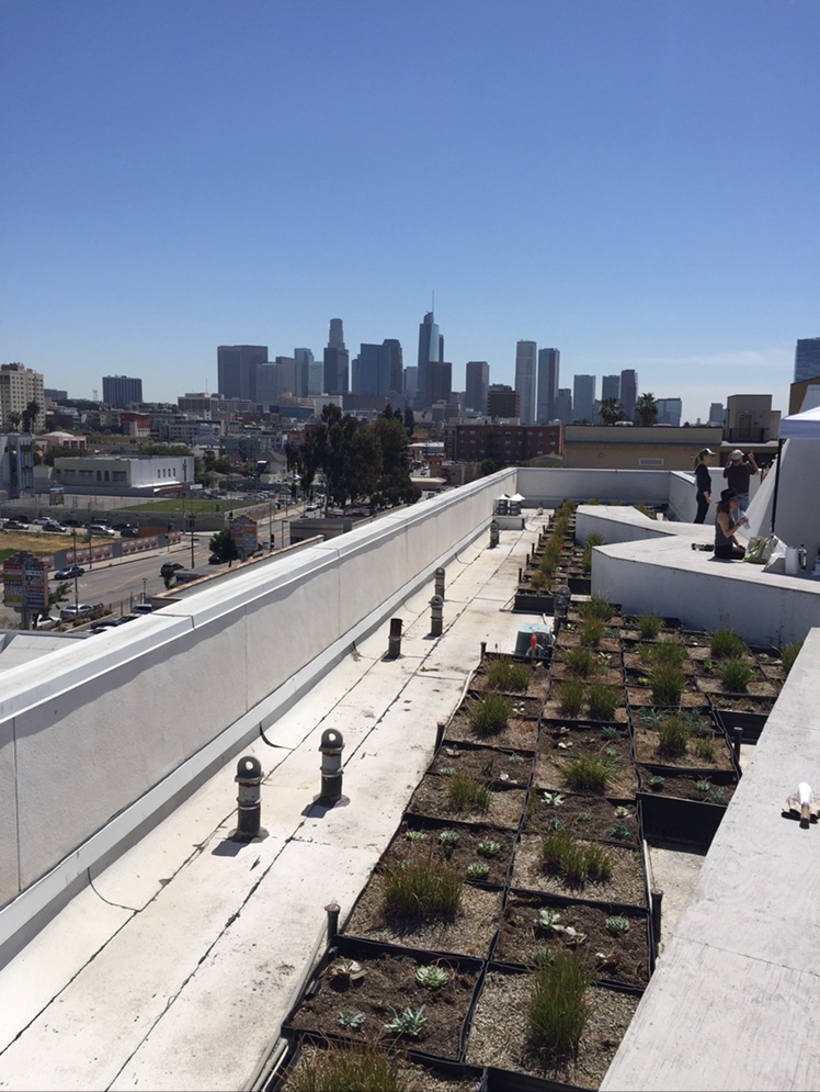Penn Serves LA The Skid Row Housing Trust Los Angeles volunteering